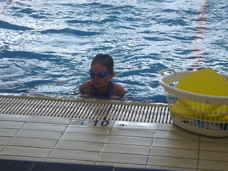 Travel - Australia - Sydney - Shazams - Fishmarket and Pool